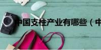 中國支柱產業有哪些(中國支柱產業)