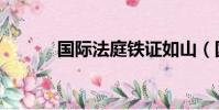國際法庭鐵證如山(國際法庭)