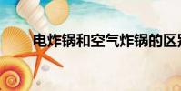 電炸鍋和空氣炸鍋的區別(電炸箱)