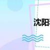 沈陽和平區（沈陽和平區）