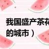 我國盛產茶花的城市是哪一個（我國盛產茶花的城市）