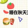睡在秋天無處可尋全面梧桐月色月色
