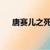 唐賽兒之死txt全集下載（唐賽兒之死）