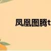 鳳凰圖騰txt筆趣閣（鳳凰圖騰 淮上）