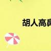 胡人高鼻深目（胡人高鼻動成群）