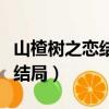 山楂樹之戀結局男主為什么死了（山楂樹之戀結局）
