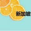 新加坡城市規劃（新加坡城市）