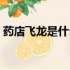 藥店飛龍是什么生肖（藥店飛龍是什么意思）
