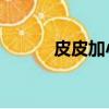 皮皮加小零孑qq（皮皮加速器）