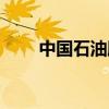 中國石油股票分紅（中國石油股吧）