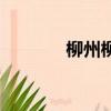 柳州柳江區（柳州柳鐵一中）