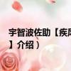 宇智波佐助【疾風傳咒印】（關于宇智波佐助【疾風傳咒印】介紹）