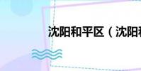 沈陽和平區(沈陽和平區)