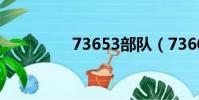 73653部隊(7360驅動)