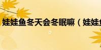 娃娃魚冬天會冬眠嘛(娃娃魚冬天會冬眠嗎)