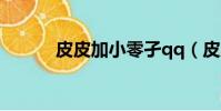 皮皮加小零孑qq(皮皮加速器)