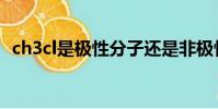 ch3cl是極性分子還是非極性分子(ch3cl)