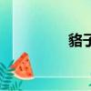 貉子毛怎么洗（貉子毛）
