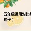 五年級運用對比手法寫一段語句（五年級運用對比手法寫的句子）