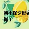 朝不保夕形容什么生肖（朝不保夕形容什么生肖）