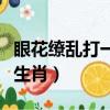 眼花繚亂打一個生肖是什么（眼花繚亂打一個生肖）