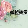 微粒貸貸款記錄（微粒貸貸款教程）