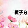 騾子分男女嗎（騾子分公母嗎）