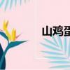 山雞蛋有什么營養（山雞蛋）