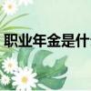 職業年金是什么時候領取（職業年金是什么）