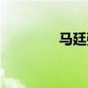 馬廷強祖籍（馬廷強前妻）