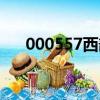 000557西部創業股吧（000555股票）