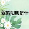 絮絮叨叨是什么描寫（絮絮叨叨是什么生肖）