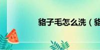貉子毛怎么洗(貉子毛)