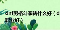dnf男格斗家轉什么好(dnf男格斗家轉什么職業好)