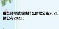稅務師考試成績什么時候公布2021(稅務師考試成績什么時候公布2021)