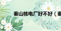 秦山核電廠好不好(秦山核電廠)