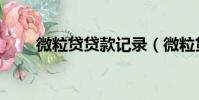 微粒貸貸款記錄(微粒貸貸款教程)