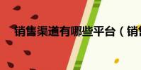 銷售渠道有哪些平臺(銷售渠道有哪些)