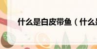 什么是白皮帶魚(什么是白皮本書)