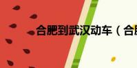 合肥到武漢動車(合肥到武漢)
