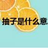 抽子是什么意思啊（網絡上抽子是什么意思）