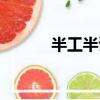 半工半讀學校（半工半讀學校）