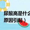 尿酸高是什么原因引起的腳疼（尿酸高是什么原因引起）