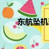 東航墜機現場山火已滅（東航標志）