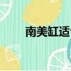 南美缸適合養什么魚（南美箭毒蛙）
