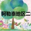 阿勒泰地區二中高考喜報（阿勒泰地區二中）