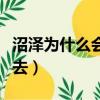 沼澤為什么會把人吸進去（沼澤會把人吸到哪去）