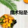 魔術貼是什么東西（魔術貼是什么）