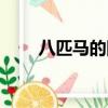 八匹馬的圖片大全（八匹馬加速器）