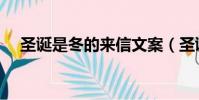 圣誕是冬的來信文案(圣誕是冬的來信)